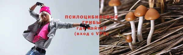 амфетамин Горнозаводск