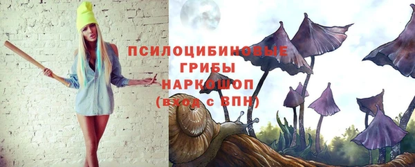 СК Горняк