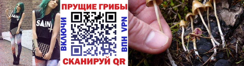 Галлюциногенные грибы GOLDEN TEACHER  где купить   кракен вход  Давлеканово 